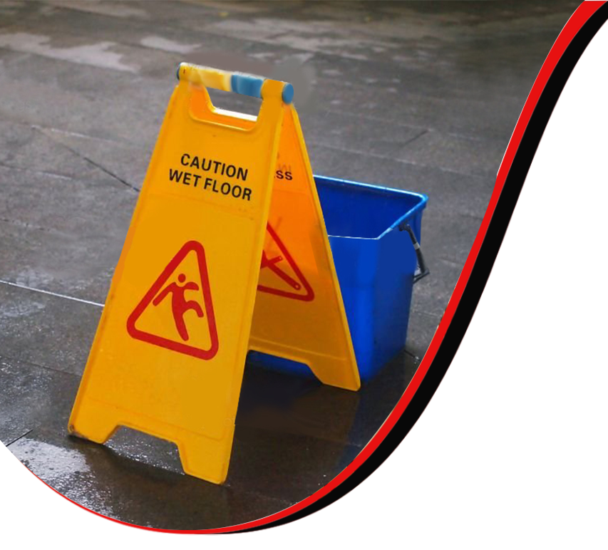 Hobart Cleaning Services Cleaning Company Shaggy Cleaning